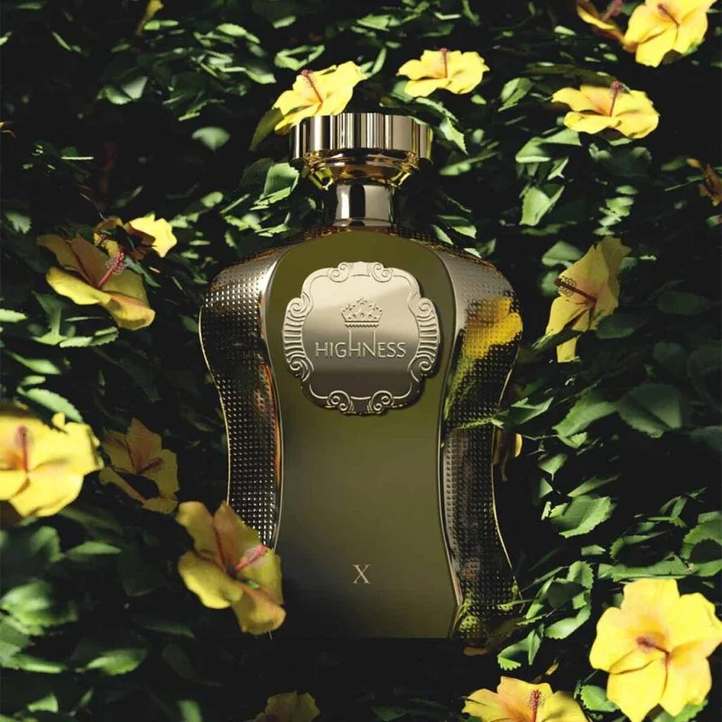 Afnan Highness X Eau de Parfum für Herren