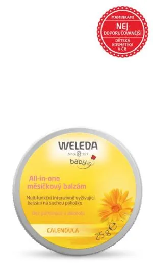 Weleda All-in-One-Mondbalsam