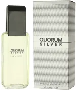 Quorum Silver Eau de Toilette 100 ml für Herren
