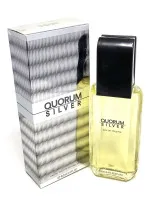 Quorum Silver Eau de Toilette 100 ml für Herren