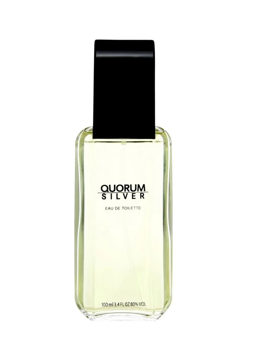 Quorum Silver Eau de Toilette 100 ml für Herren