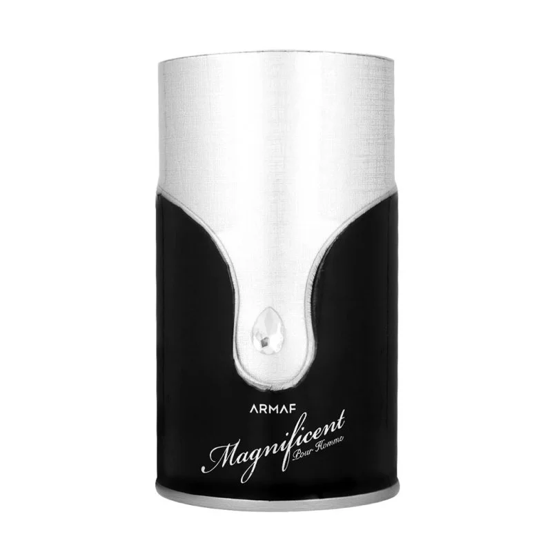Magnificent Pour Homme Eau de Parfum für Herren 100 ml