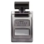 Shades Eau de Parfum für Herren 100 ml