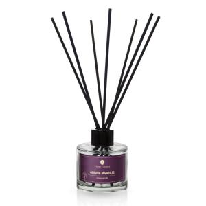 Aroma-Diffusor Aurora Mirabilis
