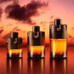 The Most Wanted Parfum für Männer 100 ml