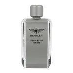 Momentum Intense Eau de Parfum für Herren 100 ml