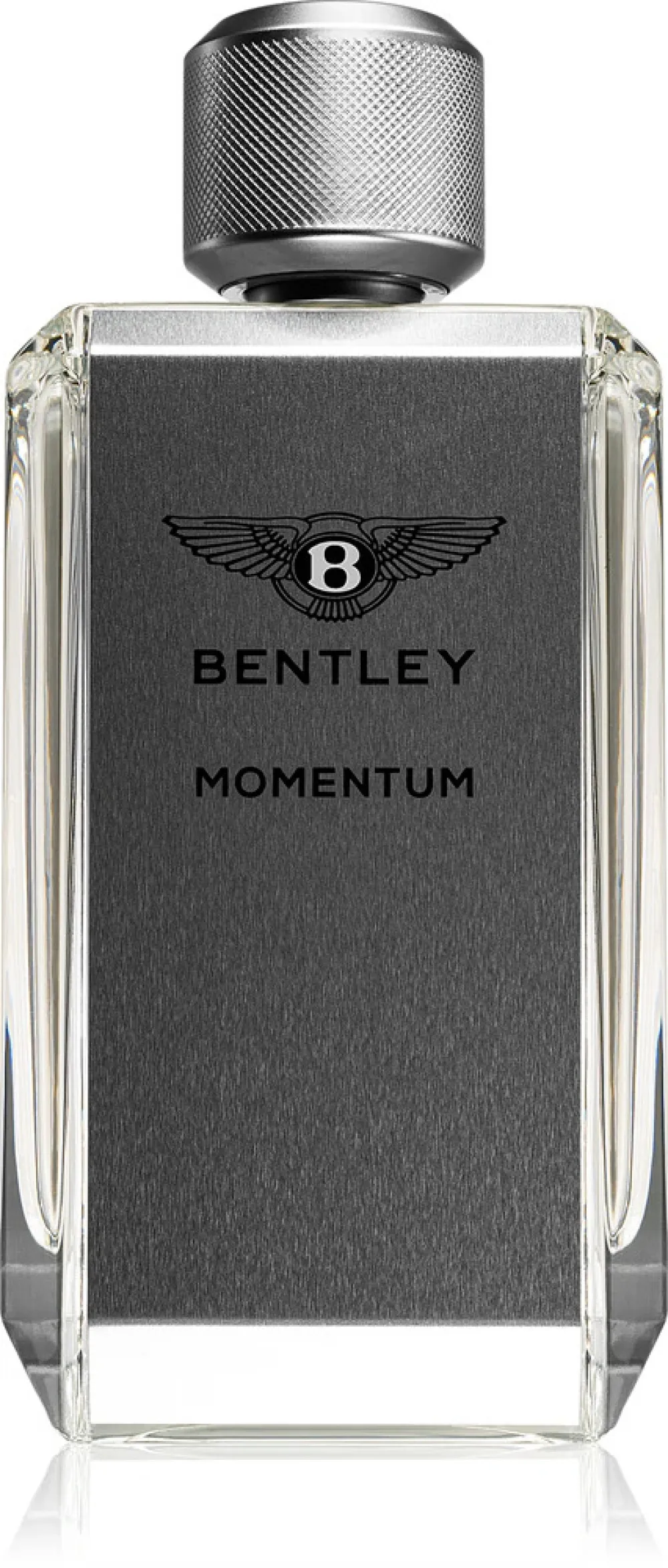 Momentum Eau de Toilette für Herren 100 ml