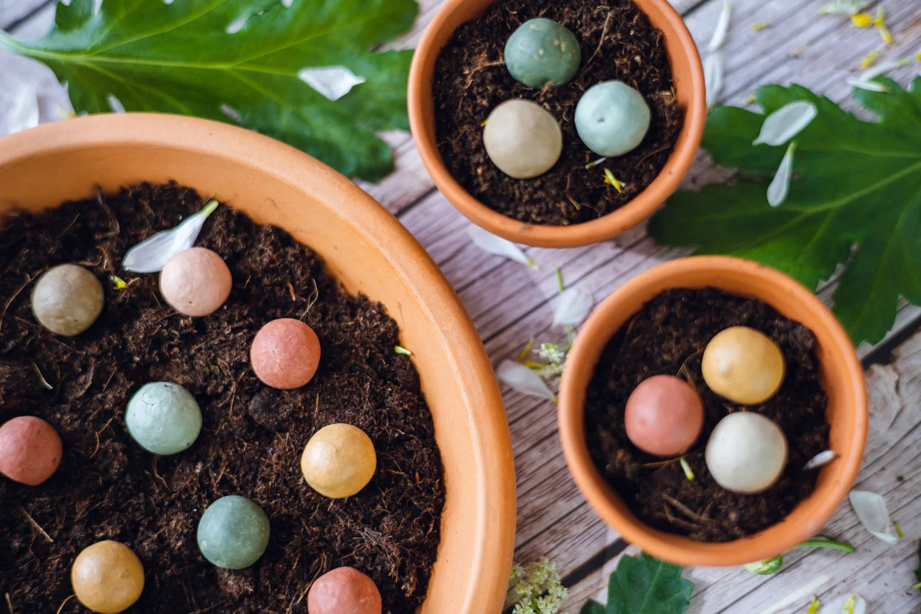 Blossombs Samenbomben - Geschenkset (klein) - Glückliches neues Zuhause (7 Stück) - originelles und praktisches Geschenk in einem