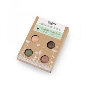 Blossombs Seed Bombs - Mini-Geschenkset (4 Stück) - originelles und praktisches Geschenk in einem