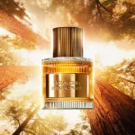 Bois Pacifique Eau de Parfum für Herren 100 ml