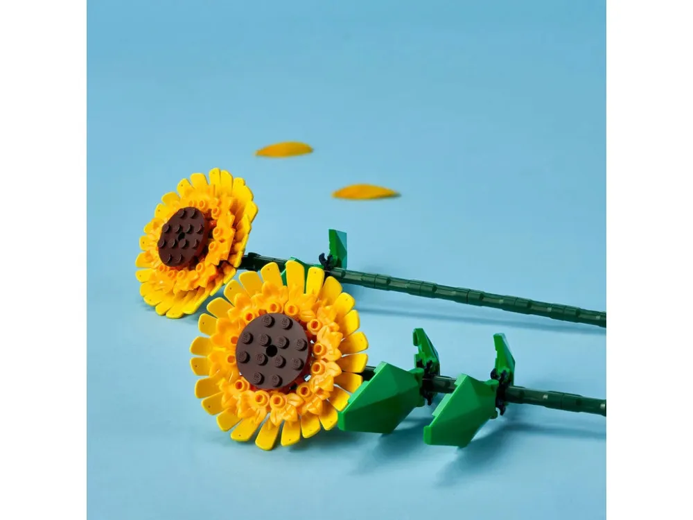 Botanicals 40524 Sonnenblume
