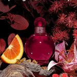 Hidden Fantasy Eau de Parfum für Frauen 100 ml