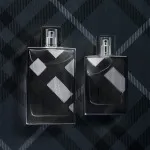 Brit For Men Eau de Toilette für Herren 100 ml