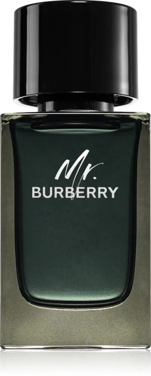 Burberry Mr. Burberry Eau de Parfum für Männer 100 ml