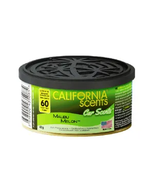 California Scents Car Scents Malibu Melon Autoduft für Herren