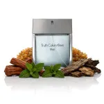 Truth For Men Eau de Toilette 100 ml für Herren