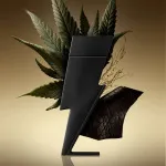 Bad Boy Le Parfum Eau de Parfum für Herren 100 ml