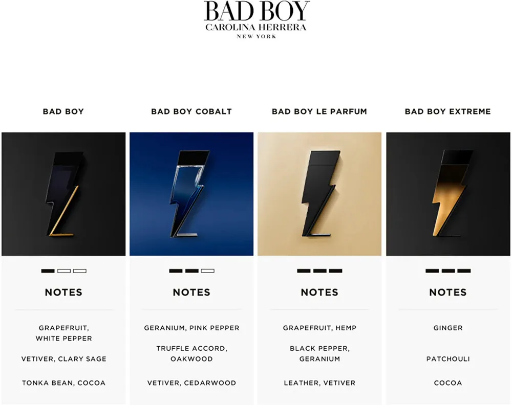 Bad Boy Le Parfum Eau de Parfum für Herren 100 ml
