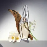 Cashmere Mist Eau de Toilette für Damen 100 ml