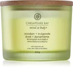 Awaken + Invigorate Duftkerze mit 3 Dochten 312 g