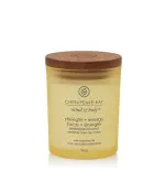Chesapeake Bay Strength + Energy Pineapple Coconut Duftkerze 96 g