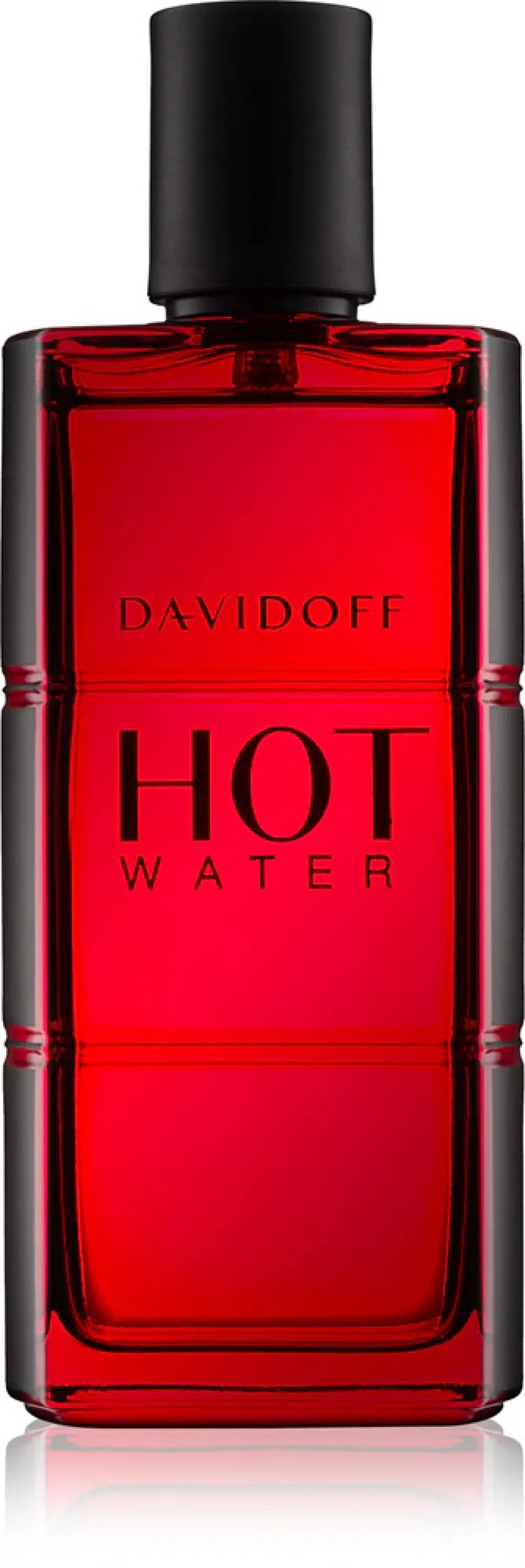 Hot Water Eau de Toilette für Herren 110 ml