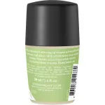 Urtekram Deo-Roller mit Aloe Vera 50ml BIO, VEG