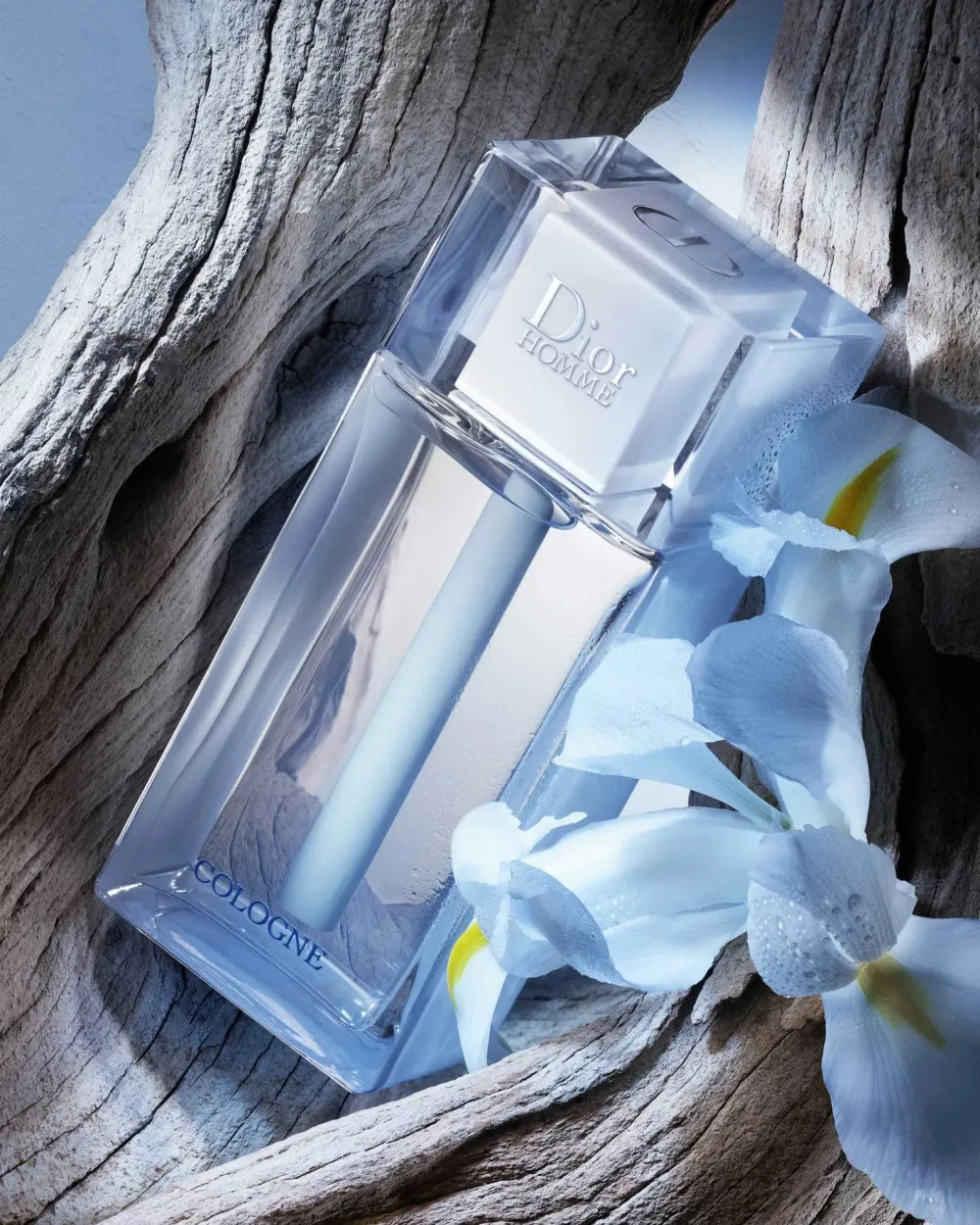 Homme Cologne 2013 Eau de Cologne für Männer 75 ml