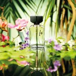 Fidji Eau de Parfum für Damen 50 ml