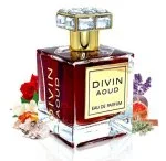 Divin Aoud U Eau de Parfum 100 ml