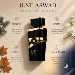 Just Aswad Eau de Parfum für Herren 100 ml