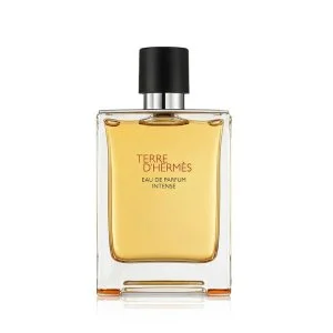 Hermes Terre d’Hermès Intense Intense nachfüllbares Eau de Parfum für Herren