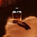 Terre d'Hermes Eau de Toilette für Herren 50 ml