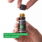 Incognito Ätherisches Citronella-Öl BIO (10 ml) - riecht nicht nach schwierigen Insekten