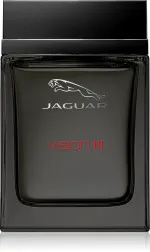 Vision III Eau de Toilette für Herren 100 ml