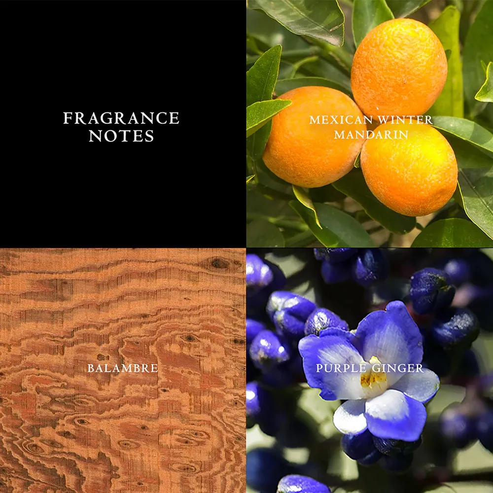 Artisan Eau de Toilette für Männer 125 ml