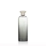 Power Eau de Toilette für Herren 75 ml