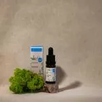 Kvitok Gesichtsserum - Grüner Tee (10 ml) - antioxidative und entzündungshemmende Wirkung