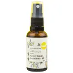Kvitok Spray zum Entwirren und Schützen der Haare (30 ml) - mit Ceramiden und Provitamin B5