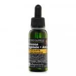 laSaponaria Amla Vegetable Silicone - Dry Hair Oil (30 ml) - bändigt fliegendes Haar
