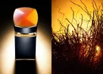 Le Gemme Ambero Eau de Parfum für Herren 100 ml
