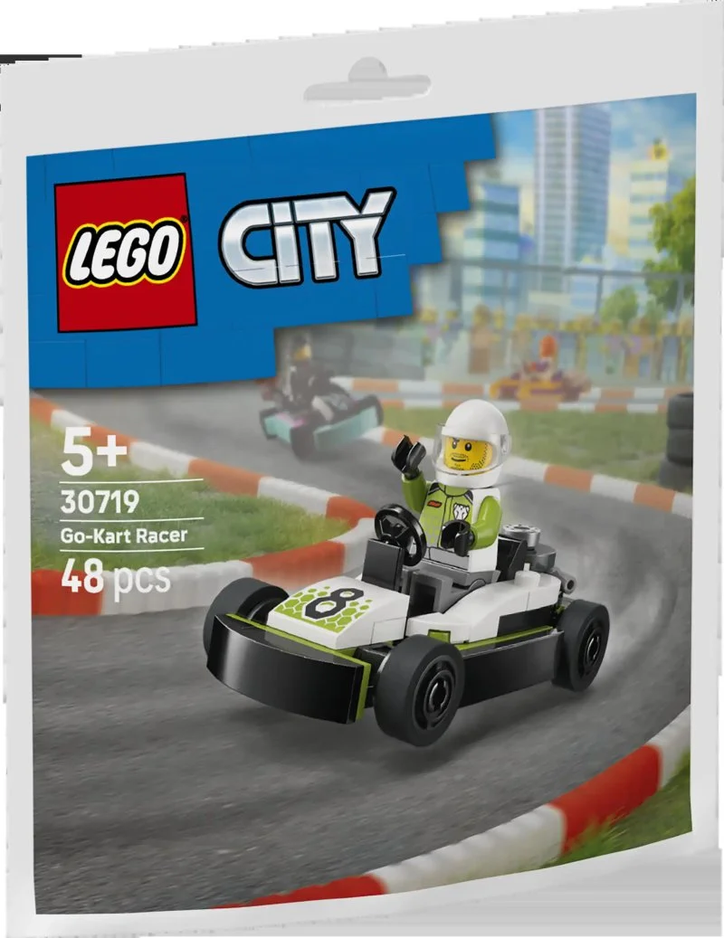 30719 Rennfahrer im Gokart