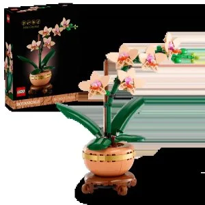 LEGO® Botanicals 10343 Miniatur-Orchidee