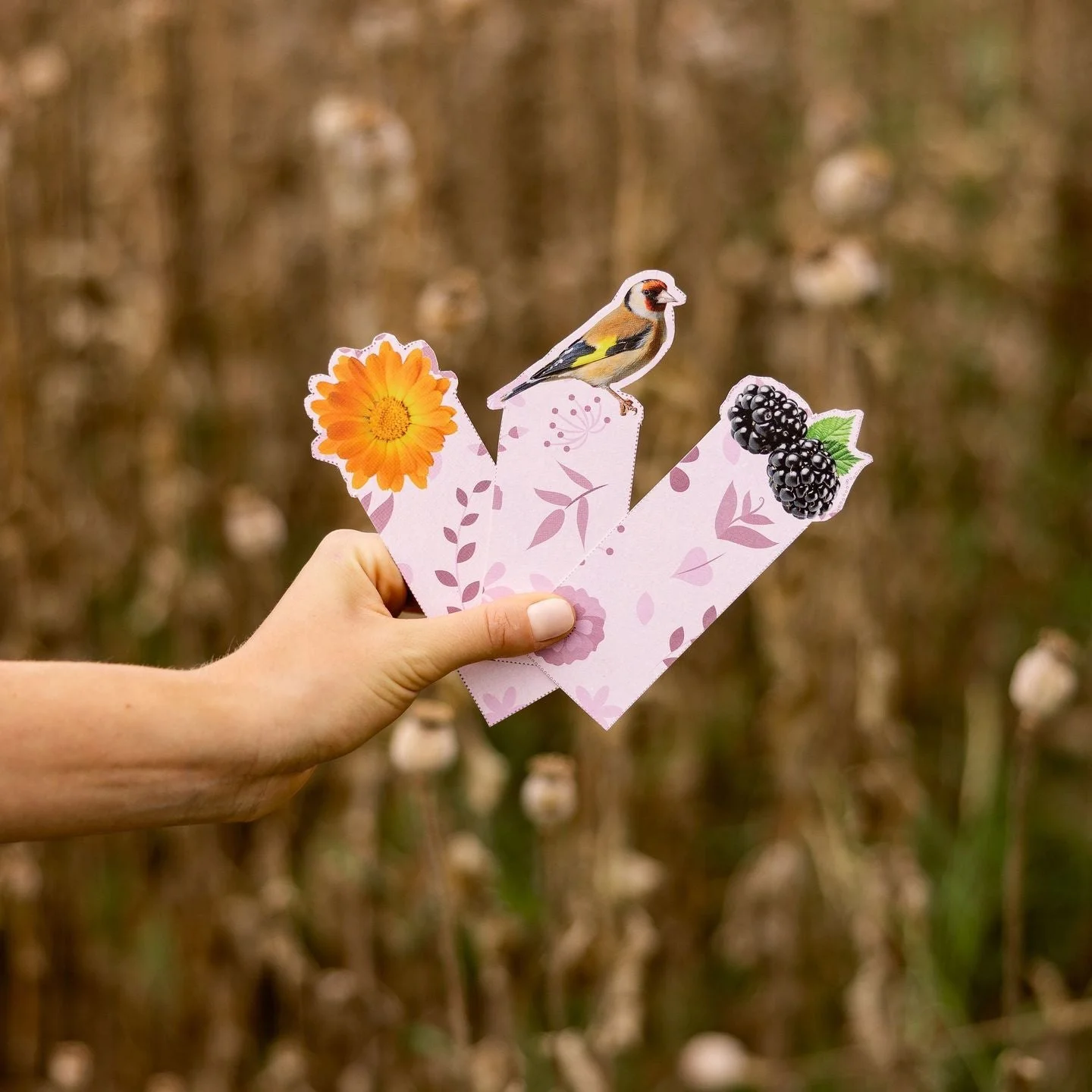 LEROS Geschenkset Kräutertees Duftende Wiese – Aufgussbeutel (6 x 5 Stk.) – 6 Kräutermischungen
