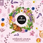LEROS Geschenkset Kräutertees Duftende Wiese – Aufgussbeutel (6 x 5 Stk.) – 6 Kräutermischungen