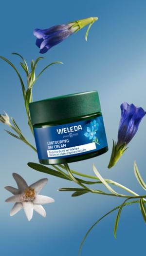Straffende Tagescreme Blauer Enzian und Alpine Zaubernuss