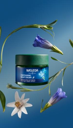 Straffende Nachtcreme Blauer Enzian und Alpine Zaubernuss