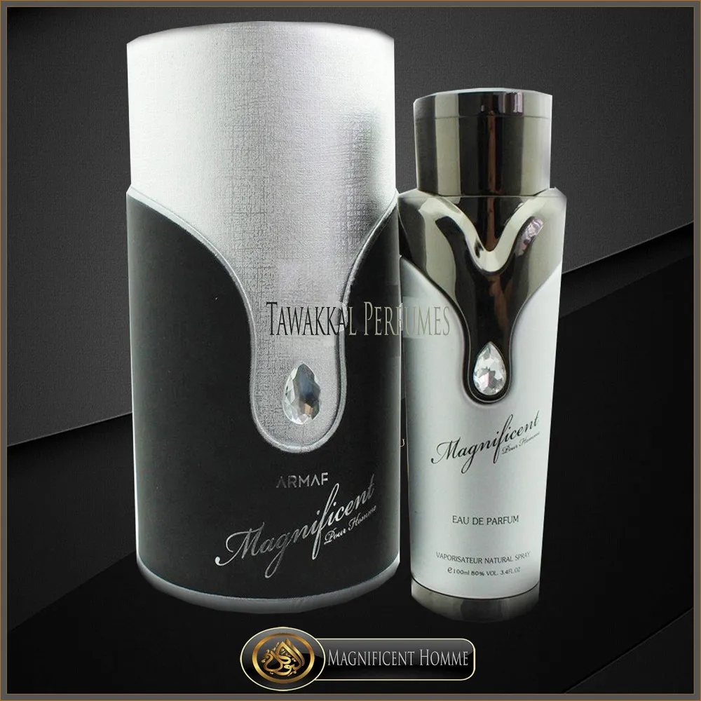 Magnificent Pour Homme Eau de Parfum für Herren 100 ml