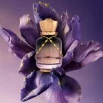 Date Night U Eau de Parfum 100 ml