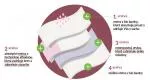 Organyc Menstruationshöschen aus Bio-Baumwolle - ultra saugfähig L